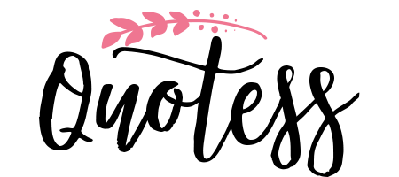 Quotess | Bringing you the best creative stories from around the world